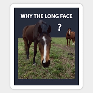 Why The Long Face? - Funny Horse Magnet